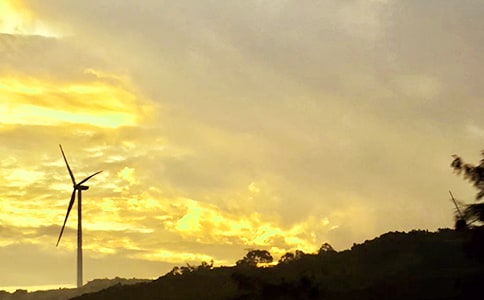 �簲QQ�ʺ������55��