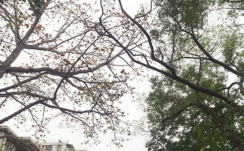 2023��Ψ�����簲QQ�ʺ�����49��