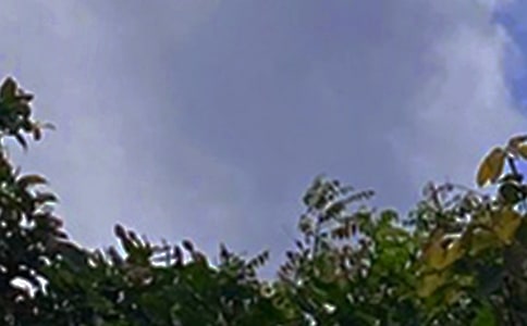 �����������簲�ʺ������100�侫ѡ