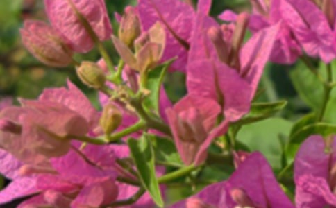 ������ܰ�簲���ԣ���ѡ80�䣩