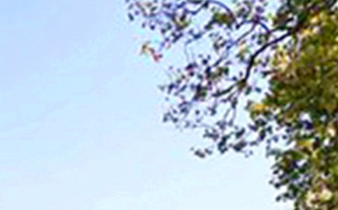 经典午安感言汇总90句