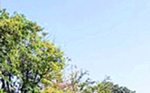 午安问候语锦集73句