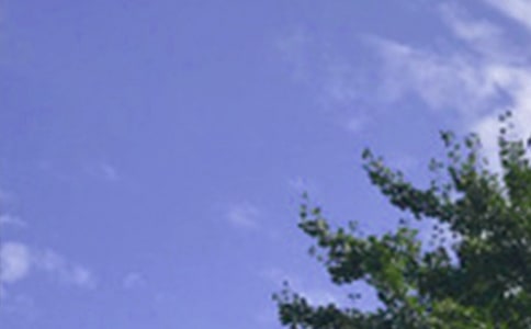 Ψ�����簲QQ�ʺ���44��