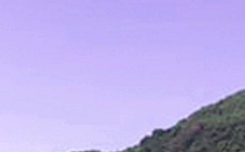 2024��Ψ�����簲�ʺ������36��