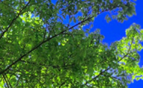 温馨午安感言30句精选