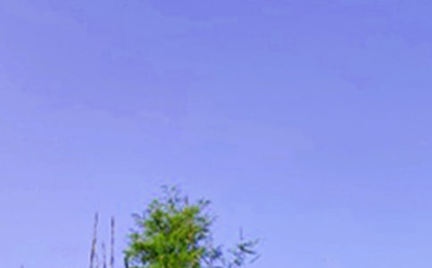 2024������ϵ�簲QQ�ʺ���ժ¼77��