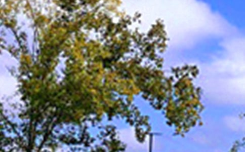 ��ů���簲΢���ʺ��Ｏ��57��