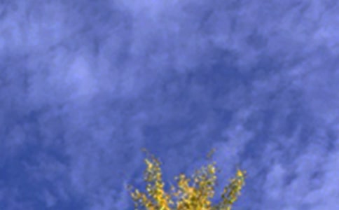 ��ܰ�簲���ԣ�ͨ��30�䣩