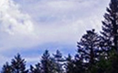 2024年温馨的午安问候语大汇总55条