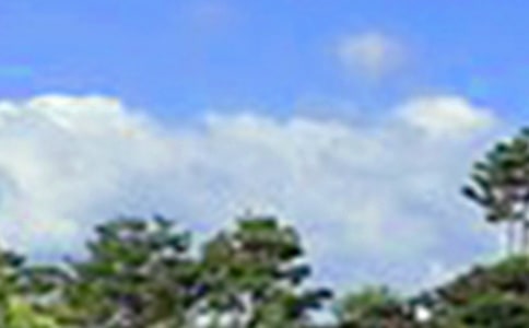 ��ܰ���簲�ʺ������51��