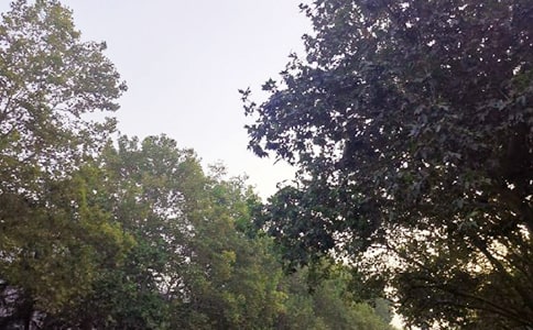 Ψ�����簲�ʺ���44��