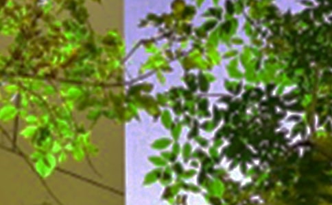 2023��Ψ�����簲�ʺ�����Ŵ�ϼ�80��