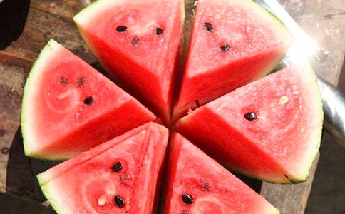 读《蚂蚁和西瓜》有感