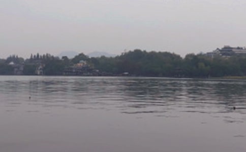 ���������¶����10ƪ