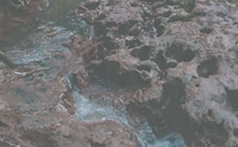 ����СϪ���ĸ衷�и�