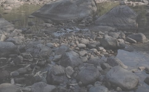 СϪ���ĸ�����