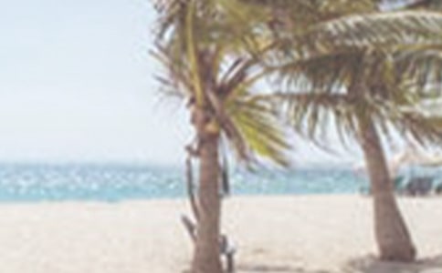 �ļ�����¹����ܽ�