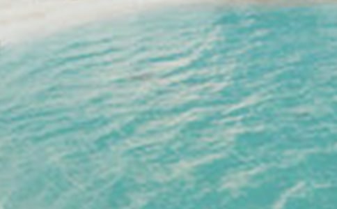 夏季蚊蝇消灭活动总结