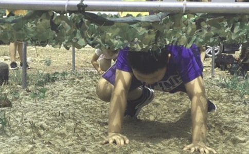 夏令营教师推荐信