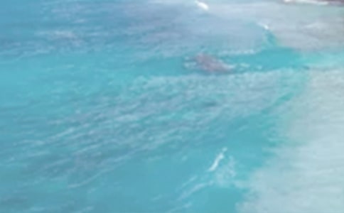 夏日的邀请函模板锦集5篇