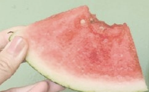 ������������ܽᱨ��