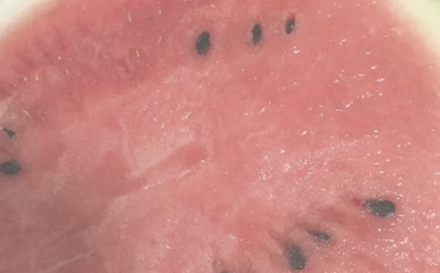 夏日绝句教学设计