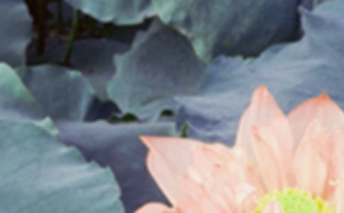 ������߻�����