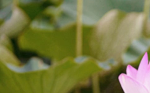 ����������������