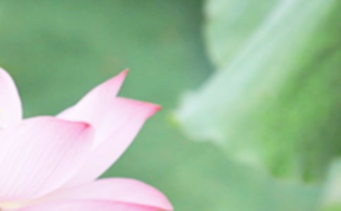 �����ʺ����ϼ�52��