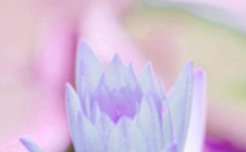 ������δ���и�