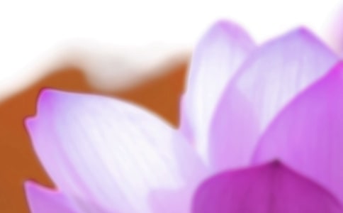 ��������ף�������15ƪ��