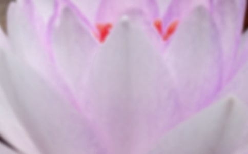 �������־���ش�