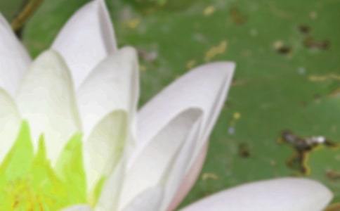 ��������δ�����и�