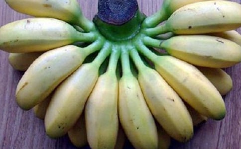 С�����С������㽶�̰�