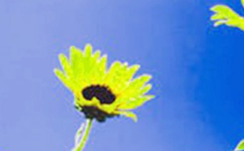 ����ֲ���տ����а���ѧ�ڿ�ѧ�̰�