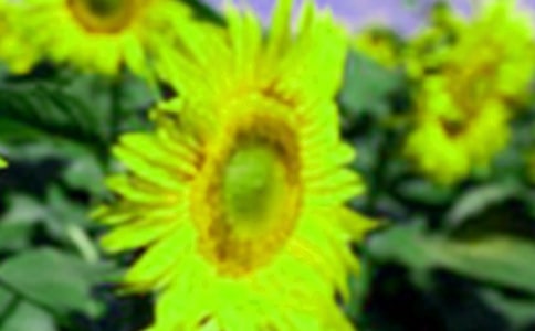 ���տ�����������ͬ