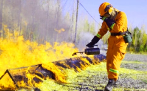 ������ȫѧϰ�ܽ�