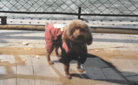 С��ǮǮ�����