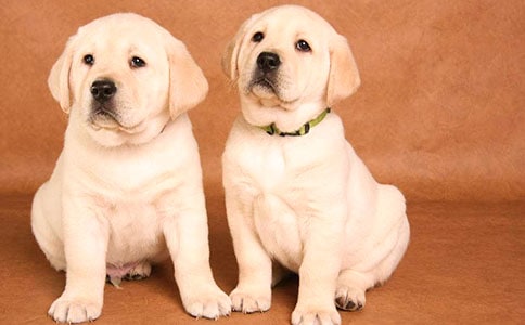 С��ǮǮ����м���15ƪ