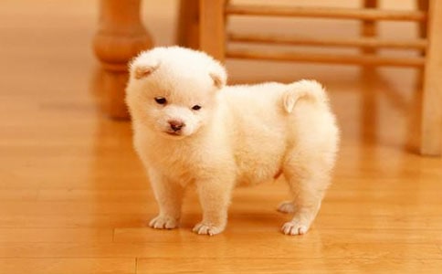 С��ǮǮ����л��15ƪ