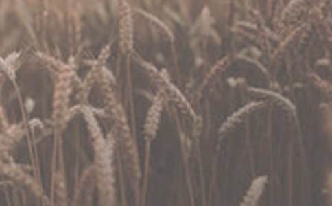 С���չ���ͬ3ƪ