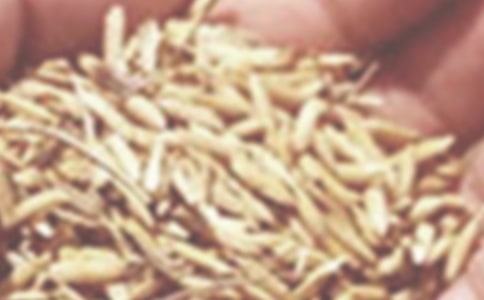 小麦收购合同4篇