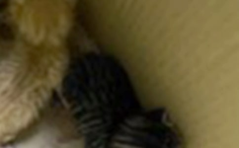 �а������̰���Сè����