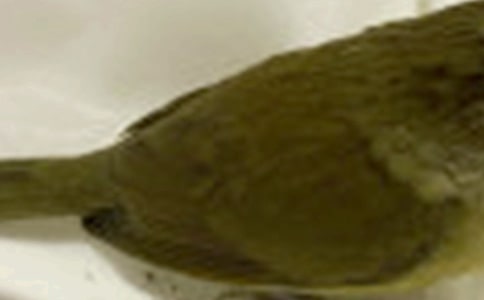 ��С�����䡷�̰�