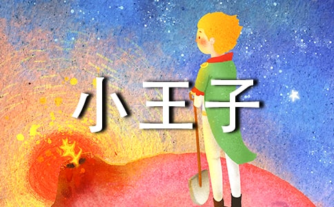 �߶�С���Ӷ����