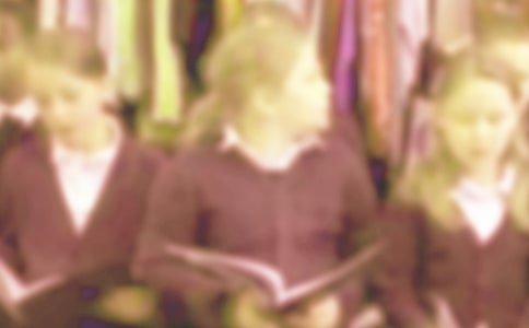 ��Сѧ��������