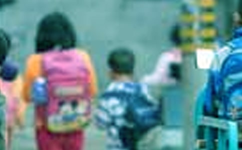 Сѧ�������ܽ�(15ƪ)