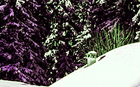 2023��Сѩ�ʺ��Ｏ��52��