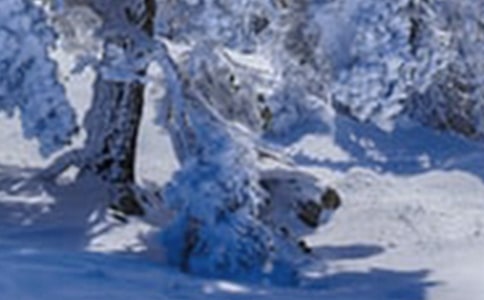 Сѩ���а����Խ̰�