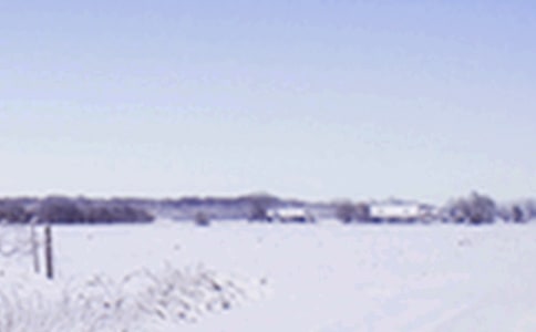 Сѩ�����ʺ���[��Ʒ]